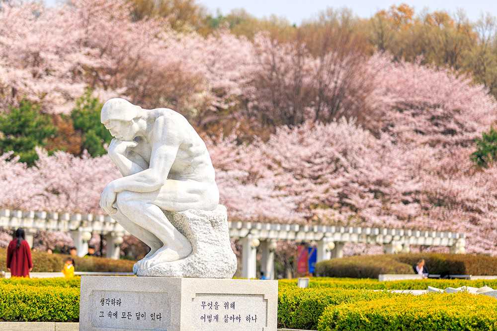 人在国外驾照到期，怎么换证？