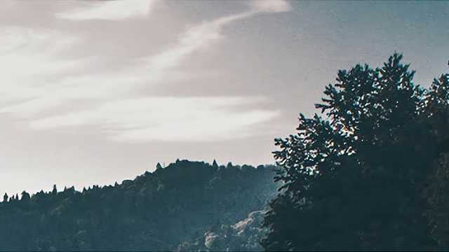 逼空！风头盖过黄金！白银一年内涨近100%，创45年新高，全球最大白银ETF疯狂扫货，下周行情如何？